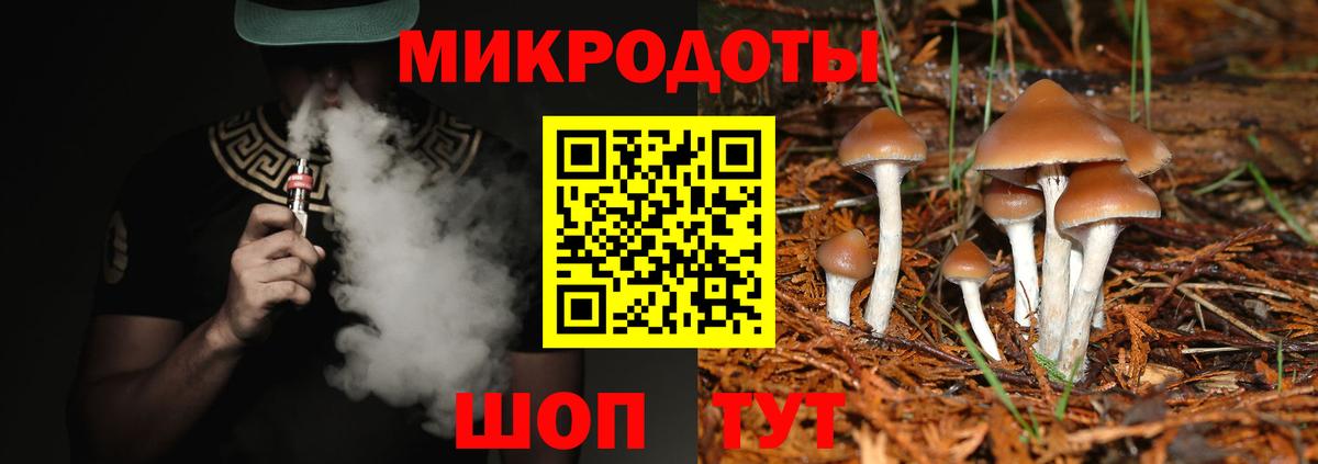 Галлюциногенные грибы мухоморы Ялуторовск